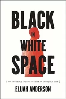 Image of Black in White Space : The Enduring Impact of Color in Everyday Life