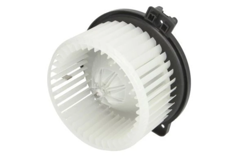 Image of THERMOTEC Heater blower motor THERMOTEC DDF006TT