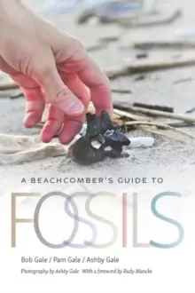 Image of A Beachcomber's Guide to Fossils