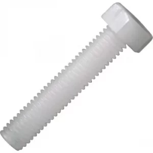 Image of Toolcraft Hexagonal Screw DIN 933 Polyamide M6 x 20mm Pack Of 10