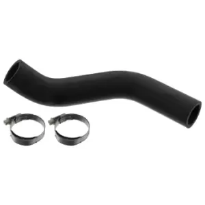 Image of Radiator Hose & Clips 49159 by Febi Bilstein