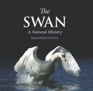 Image of The swan by Malcolm Schuyl