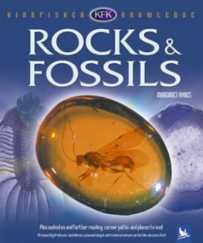 Image of Rocks and Fossils by Margaret Hynes Book