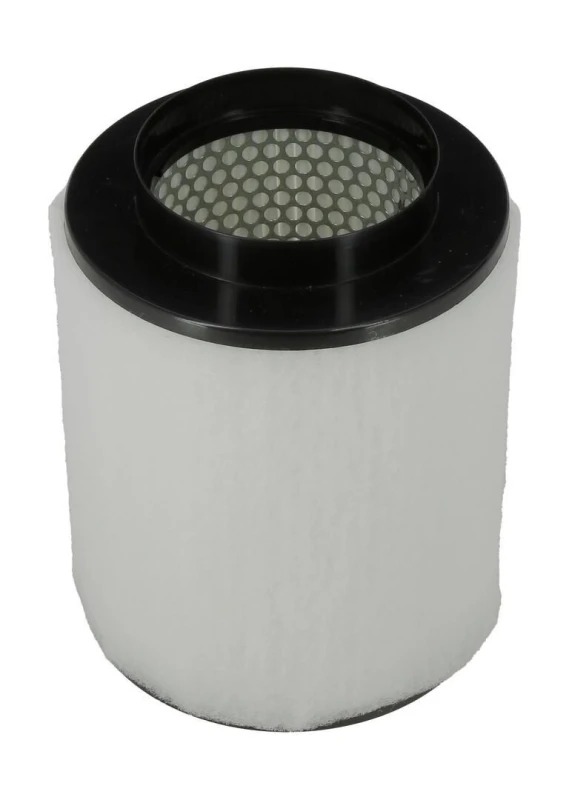 Image of Air filter CHAMPION CAF101191R