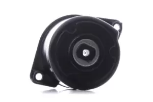 Image of INA Tensioner Lever, v-ribbed belt BMW 534 0170 10 11287786880,7786880,11287786880 7786880