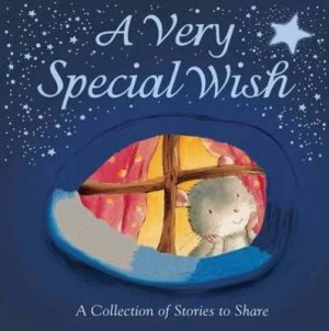 Image of A Very Special Wish Hardback