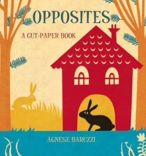 Image of Opposites by Agnese Baruzzi Hardback