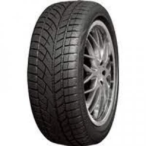 Image of Roadx WU01 205/45 R17 88V XL