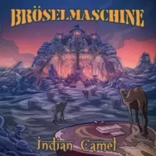 Image of Indian Camel
