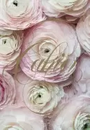 Image of paris in bloom notebook