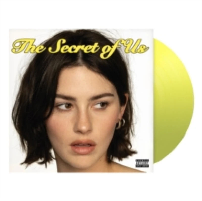Image of The Secret of Us Vinyl