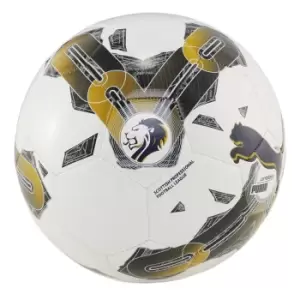 Image of Puma Orbita 6 SPFL Football 2023-2024 - White