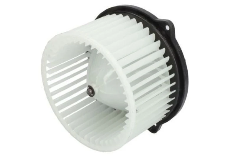 Image of THERMOTEC Blower motor THERMOTEC DDG016TT