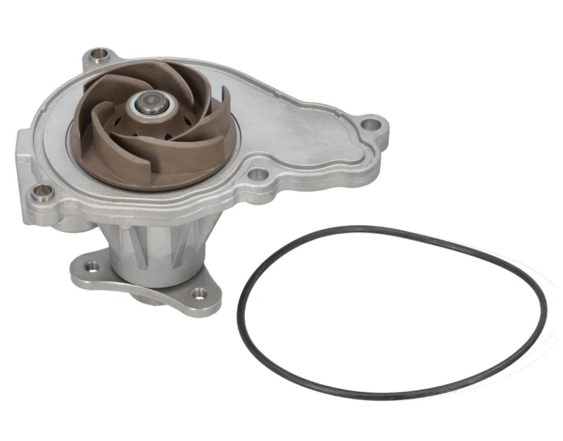 Image of Water pump MEYLE 313 220 0025