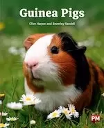 Image of PM Orange: PM Orange: Guinea Pigs (PM Non-fiction) Level 15/16