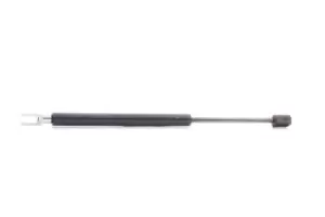 Image of RIDEX Tailgate strut NISSAN 219G0767 90450BC10A,90451BC10A
