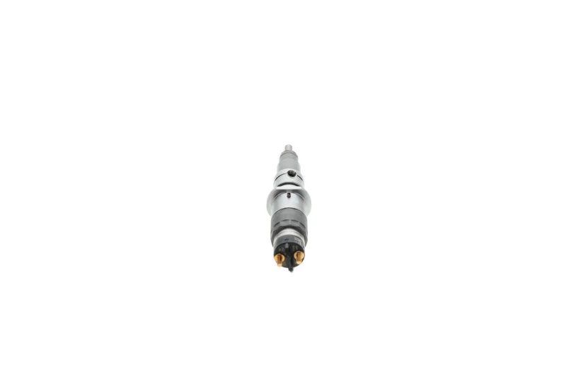 Image of Bosch 0 445 120 250 Injectors with seal ring Injector Nozzle (3902)