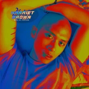 Image of Mall of Fortune by Harriet Brown CD Album