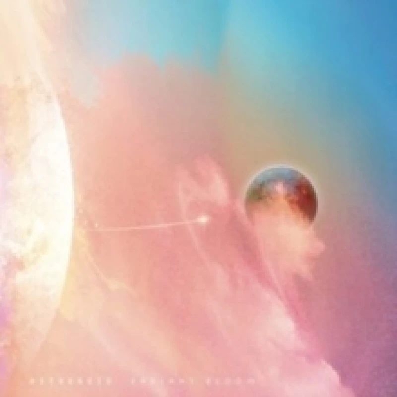 Image of Radiant Bloom CD / Album
