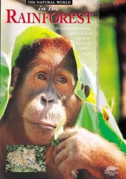 Image of In the Rainforest Paperback