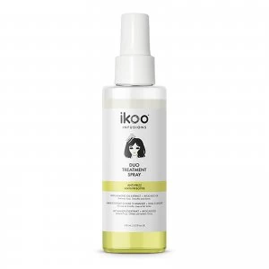 image of ikoo Anti-Frizz DUO Treatment Spray 100ml