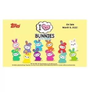 image of I Love Bunnies Cute Figures (12 Packs)