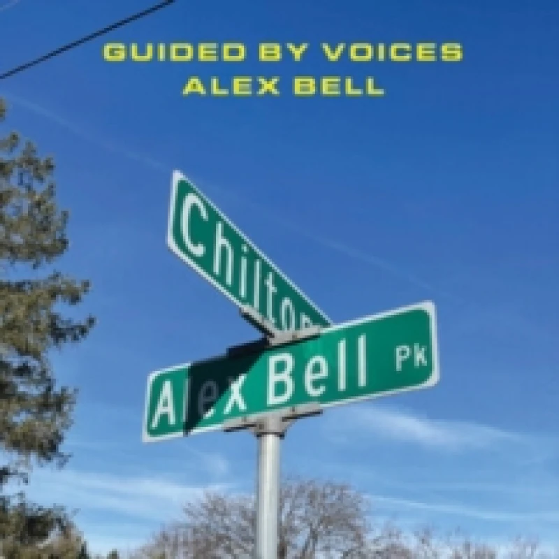 Image of Alex Bell/Focus On the Flock Vinyl