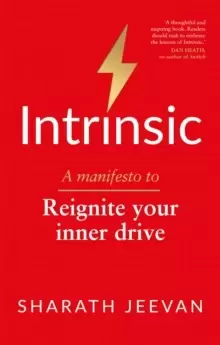 Image of Intrinsic : A manifesto to reignite your inner drive