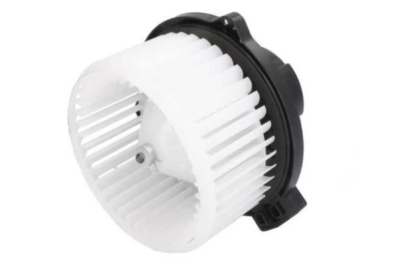 Image of THERMOTEC Blower motor THERMOTEC DDX021TT