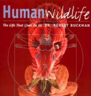 Image of human wildlife the life that lives on us