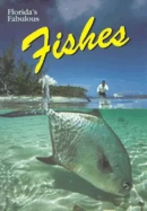 Image of floridas fabulous fishes