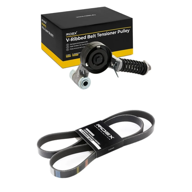 Image of RIDEX 542R0820 V-ribbed belt set Check alternator freewheel clutch & replace if necessary V-Ribbed Belt Set (542)