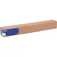 Image of Epson WaterResistant Matte Canvas Roll, 44" x 12,2 m, 375g/m²