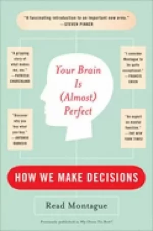 Image of your brain is perfect how we make decisions