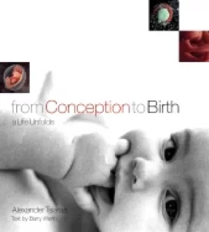 Image of from conception to birth a life unfolds