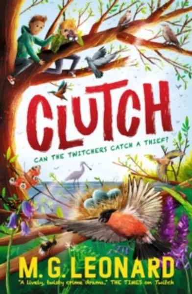 Image of clutch 9781529506105