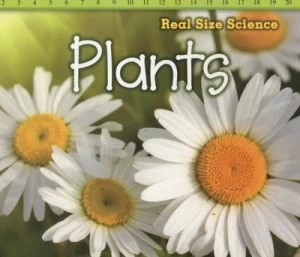 Image of Plants by Rebecca Rissman Book