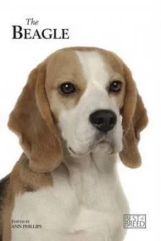 Image of The Beagle by Ann Phillips Hardback