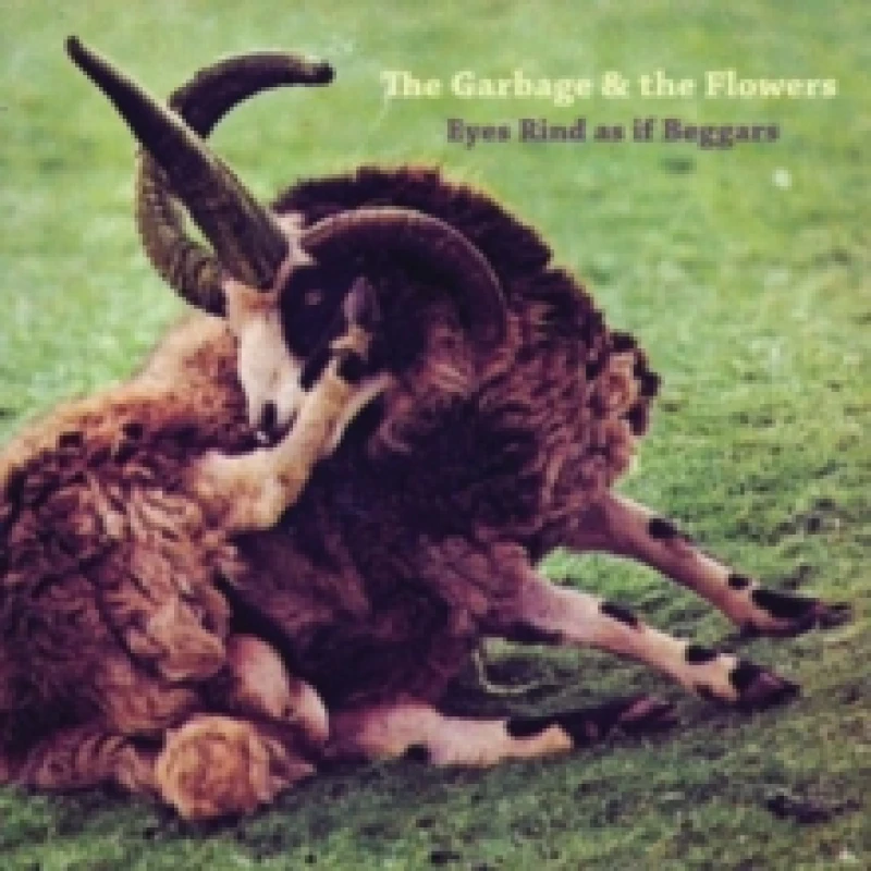 Image of Eyes Rind As If Beggars CD / Album