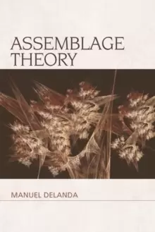 Image of Assemblage Theory