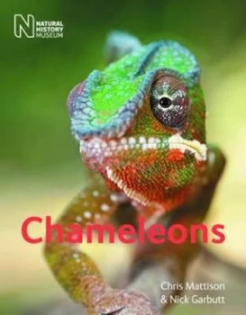 Image of Chameleons by Chris Mattison Paperback