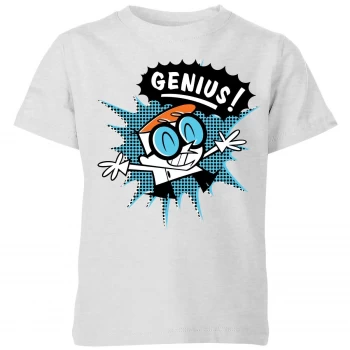 image of Dexters Lab Genius Kids T-Shirt - Grey - 9-10 Years