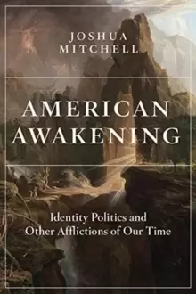 Image of American Awakening : Identity Politics and Other Afflictions of Our Time