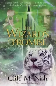 Image of The Wizard's Promise