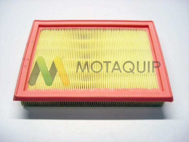 Image of MOTAQUIP Air filter MOTAQUIP LVFA1473