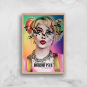 Image of DC Birds Of Prey Giclee Art Print - A2 - Wooden Frame