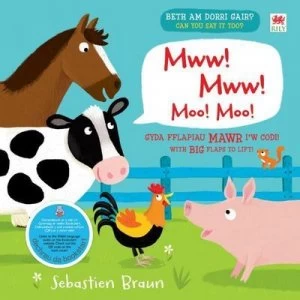 Image of Beth Am Dorri Gair Mww Mww by Sebastien Braun Hardback