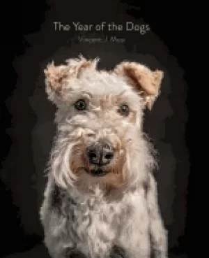 Image of year of the dogs