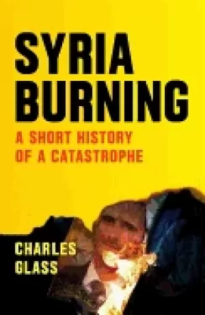Image of syria burning a short history of a catastrophe