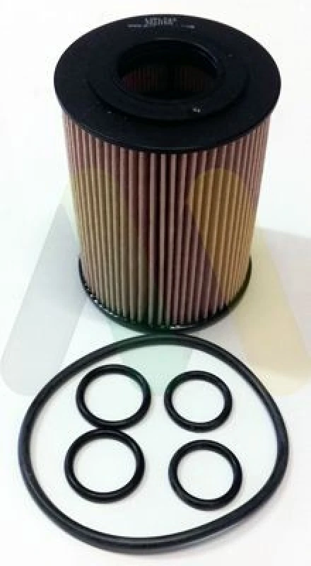 Image of MOTAQUIP Oil filter MOTAQUIP LVFL743